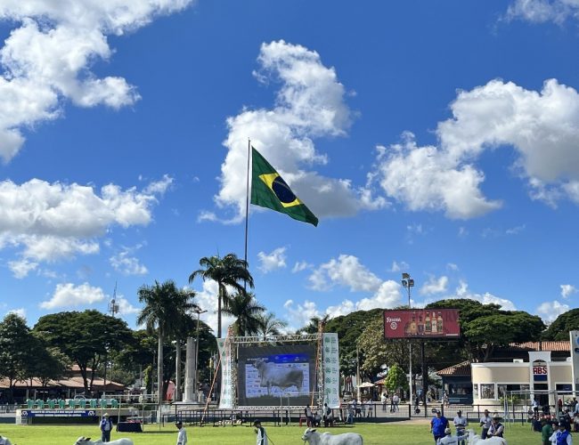 Nelore será destaque na 90ª ExpoZebu, em Uberaba