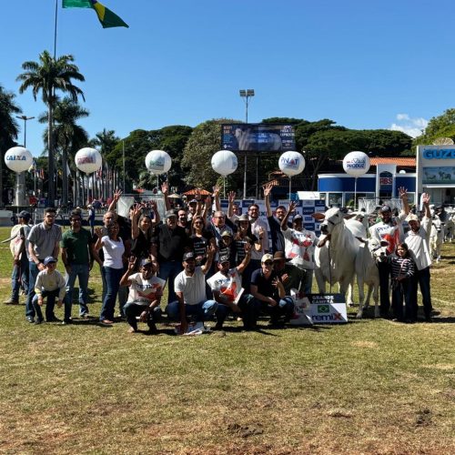 Carina FIV do Kado é bicampeã Nelore na 90ª Expozebu, em Uberaba