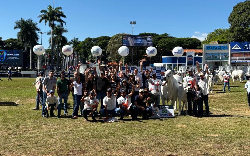 Carina FIV do Kado é bicampeã Nelore na 90ª Expozebu, em Uberaba