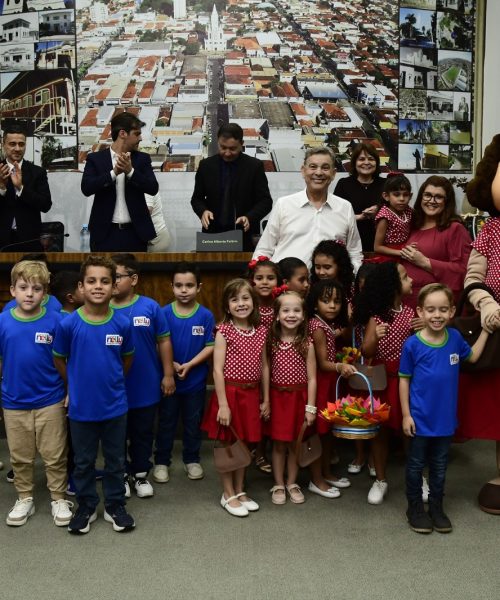 Cerimônia de entrega da Medalha Maria Chica homenageia legado de Dona Nelly Colnaghi