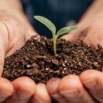 A evolução dos fertilizantes agrícolas e seus benefícios para o campo na visão de Cauê Lopes Martins